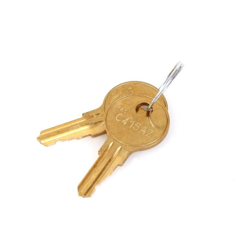 True 829424 OEM Key - Key, K54G 2K Stp Cd,Bit & Ring M5300021120001J Includes 2 Keys