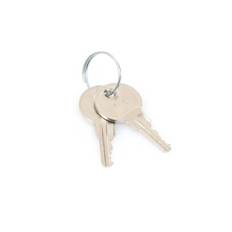 True 831365 OEM Key - Key, T42 -831361 & 912987 Lock (Set/2) Includes 2 Keys