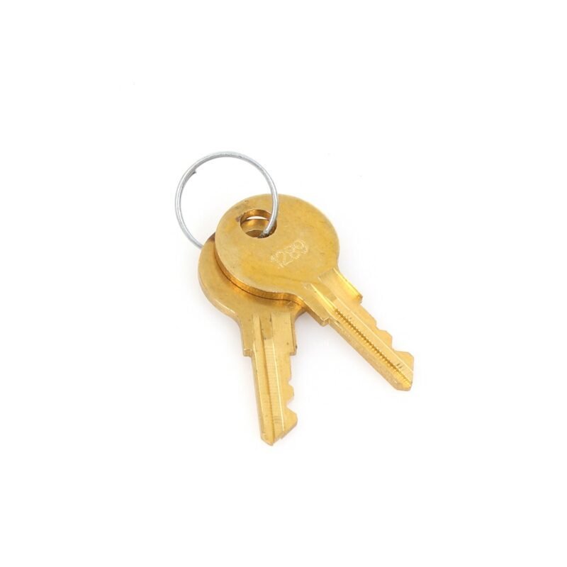 True 831307 OEM Key - KEY, 1289, (SET OF 2) GDM, TMC INCLUDES 2 KEYS product