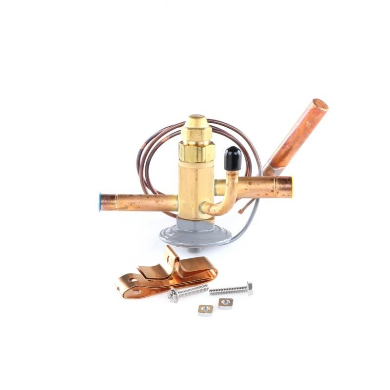 True 813301 OEM Valve