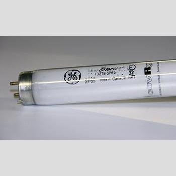 True 801152 OEM Lamp - Lamp, F32T8/Sp65 With Cov-R-Guard Item #41895 Use Until Depleted