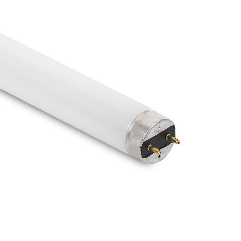 True 801159 OEM Lamp - Lamp, F15T8Cw #21616
